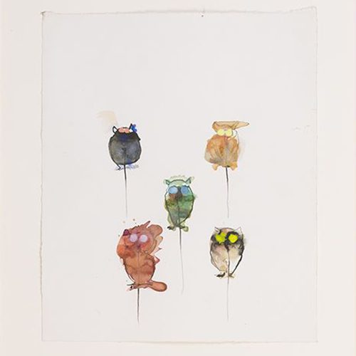 Lucia Nogueira - Untitled, (Owls)